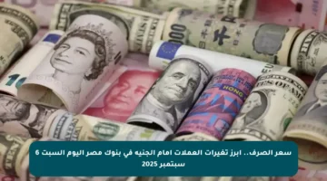 سعر الصرف.. أبرز تغيرات العملات أمام الجنيه في بنوك مصر اليوم السبت 6 سبتمبر 2025